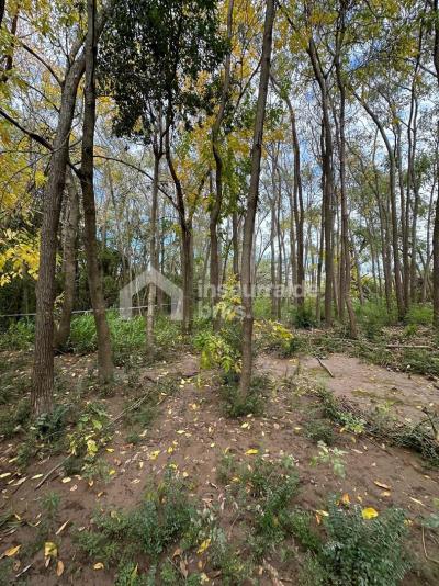 Terreno en venta en Delta, Tigre