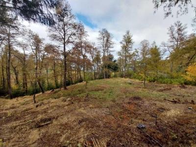 Terreno en venta en Los Robles, San Martin de los Andes