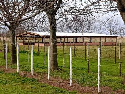 Terreno en venta en Miramar