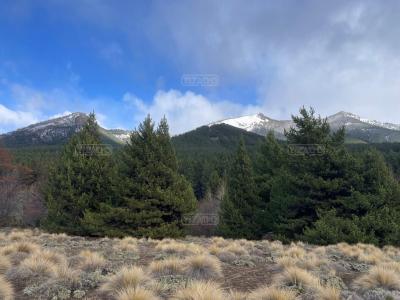 Terreno en venta en Villa Lago Meliquina, San Martin de los Andes