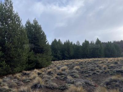 Terreno en venta en Villa Lago Meliquina, San Martin de los Andes