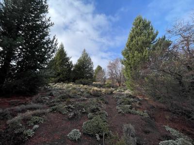 Terreno en venta en Villa Lago Meliquina, San Martin de los Andes