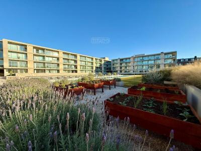 Departamento 2 dormitorios en alquiler en San Isidro