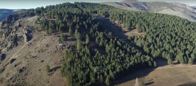 Terreno en venta en Alumine, San Martin de los Andes