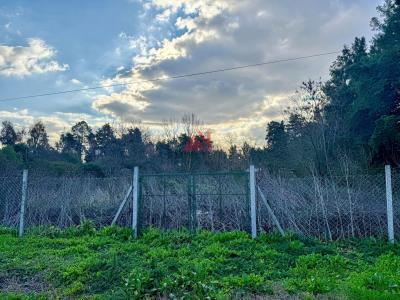 Terreno en venta en El Remanso, Exaltacion de la Cruz