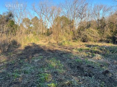 Terreno en alquiler en Fatima, Pilar