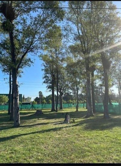 Terreno en venta en Francisco Álvarez, Moreno