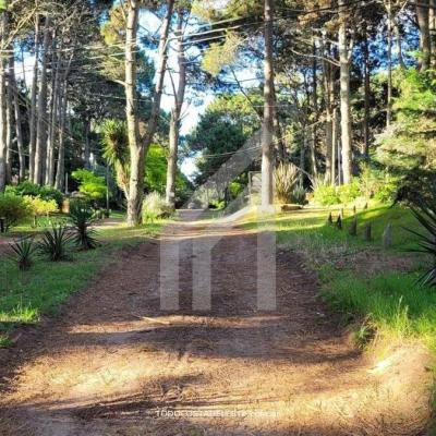 Terreno en venta en Costa Del Este