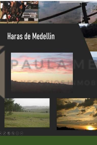 Terreno en venta en Punta del Este, Punta del Este