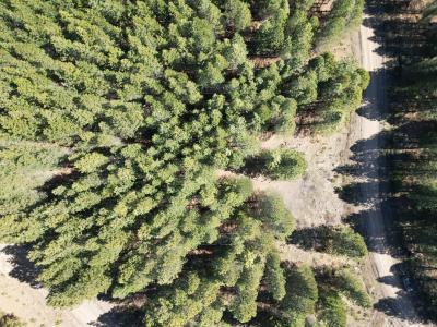 Terreno en venta en El Desafio, San Martin de los Andes