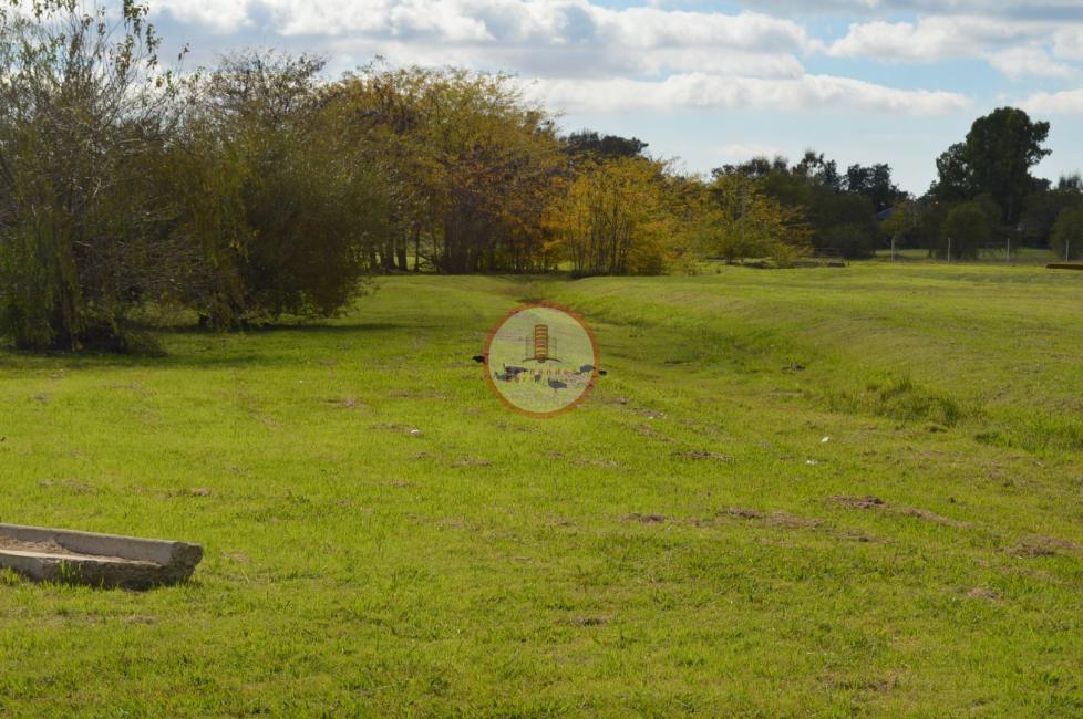 Terreno en venta en Manuel B Gonnet, La Plata