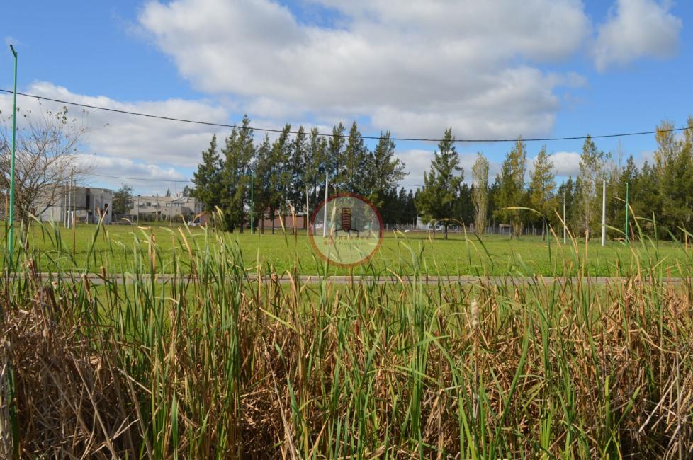 Terreno en venta en Manuel B Gonnet, La Plata