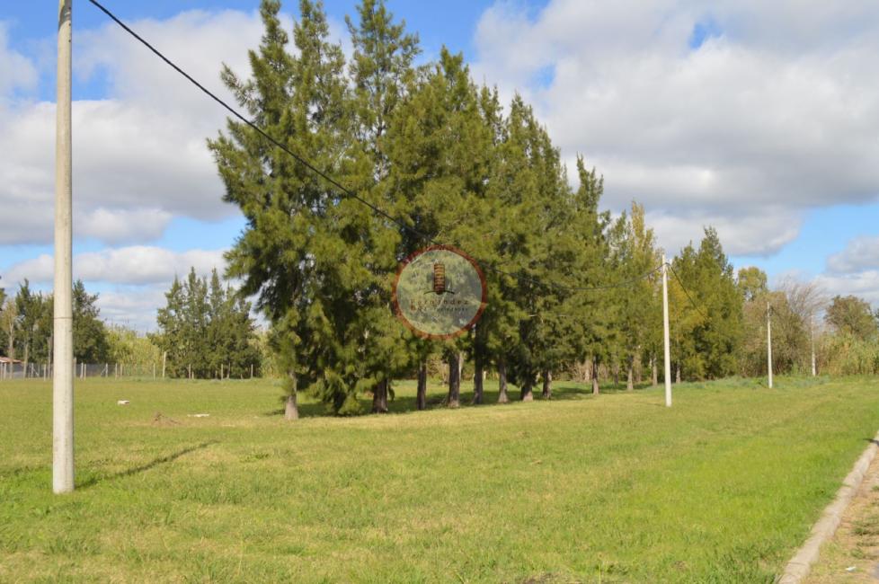 Terreno en venta en Manuel B Gonnet, La Plata