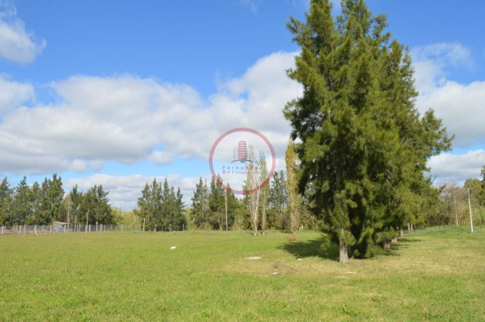 Terreno en venta en Joaquin Gorina, La Plata