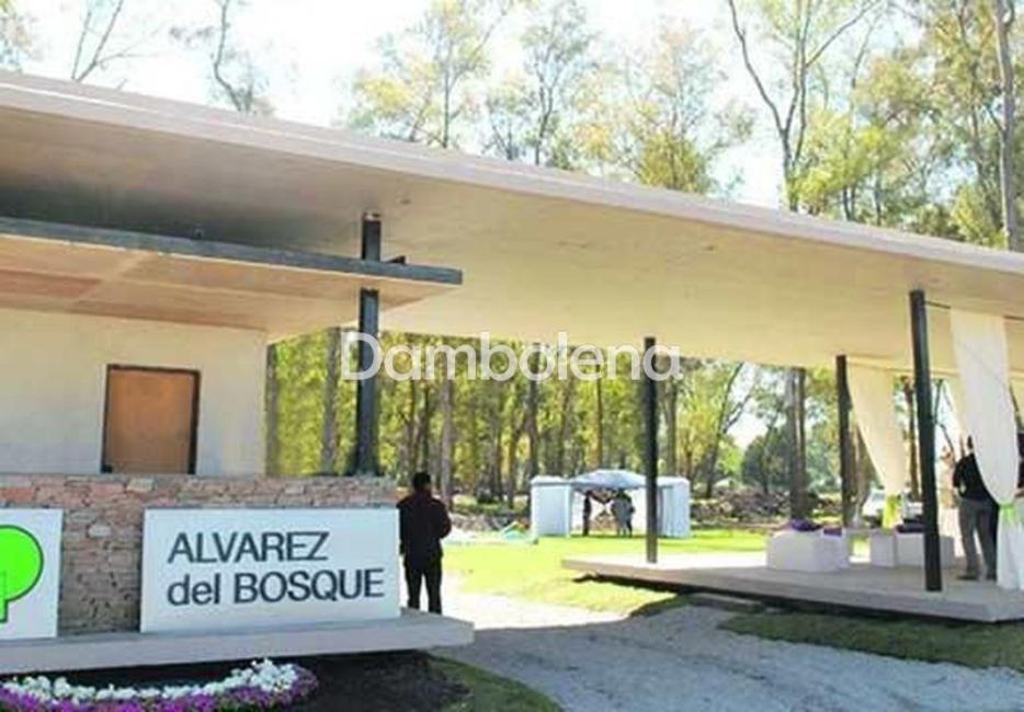 Terreno en venta en Álvarez del Bosque (Francisco Alvarez), Moreno