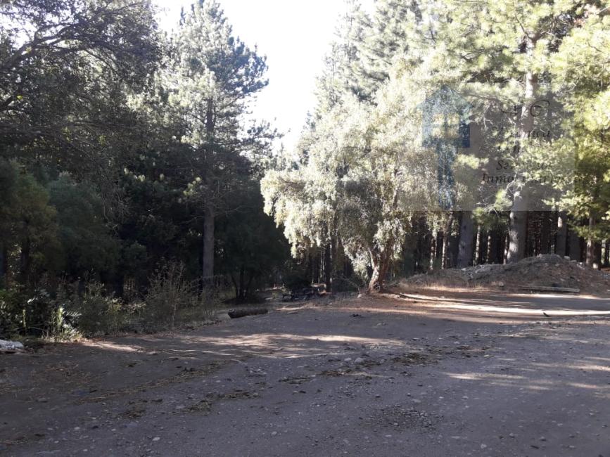Terreno en venta en La Jauria, San Martin de los Andes