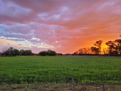 Terreno en venta en Pilar, Pilar