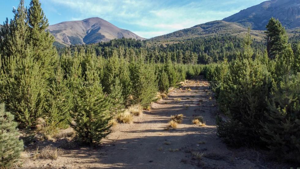 Terreno en venta en Dos Valles, Bariloche