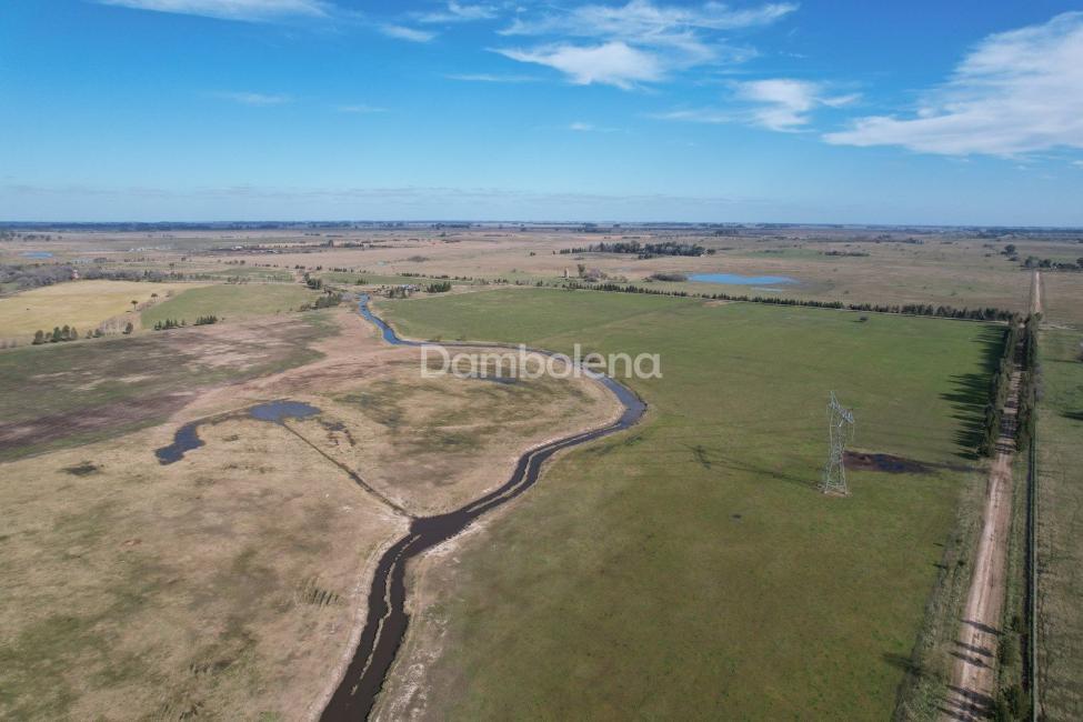 Terreno en venta en Cañuelas