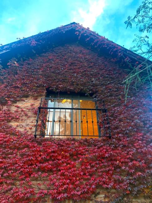 Casa 4 dormitorios en alquiler en Santa Barbara, Tigre