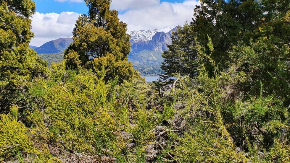 Terreno en venta en Villa Suyai, Bariloche