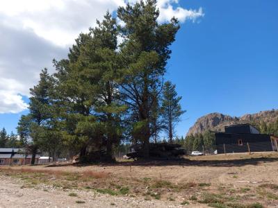 Terreno en venta en Centro de Bariloche, Bariloche