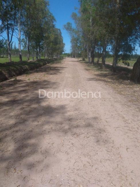 Terreno en venta en Cañuelas