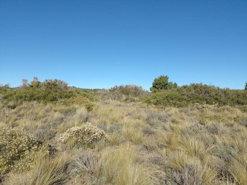 Terreno en venta en Coirones, Bariloche