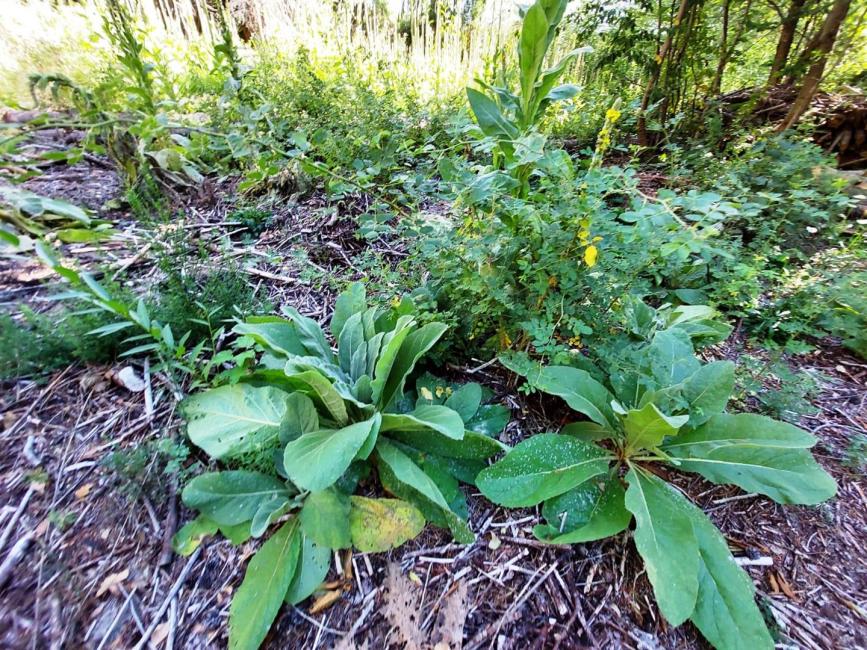 Terreno en venta en Kilometros, Bariloche