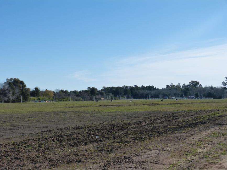 Terreno en venta en Parada Robles, Exaltacion de la Cruz