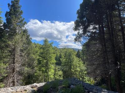 Terreno en venta en Alihuen Alto, San Martin de los Andes