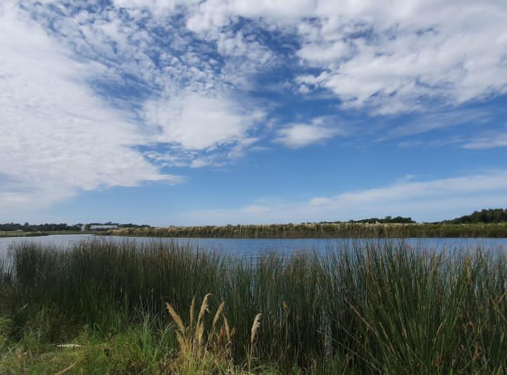 Terreno en venta en Villanueva, Tigre