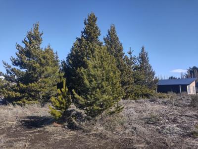 Terreno en venta en Las Victorias, Bariloche