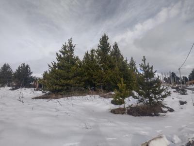 Terreno en venta en Las Victorias, Bariloche