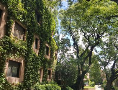 Departamento 1 dormitorios en alquiler temporario en Village Las Lomas, San Isidro