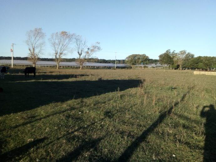 Terreno en venta en Mar Del Plata, General Pueyrredon