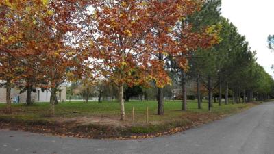 Terreno en venta en Club Miralagos, La Plata