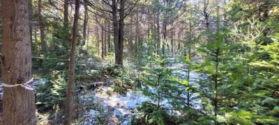 Terreno en venta en Villa Lago Gutierrez, Bariloche