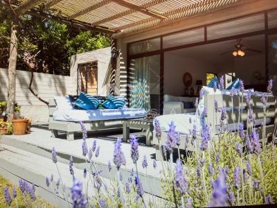 Casa 4 dormitorios en alquiler temporario en Punta del Este, Punta del Este