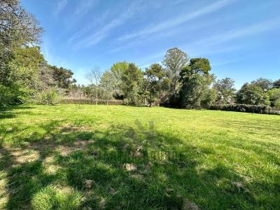 Terreno en venta en El Remanso, Exaltacion de la Cruz
