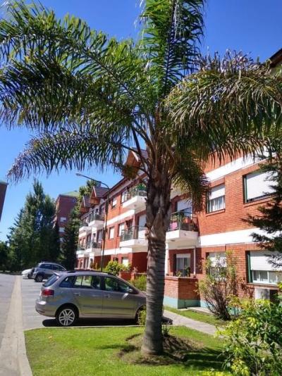 Departamento 1 dormitorios en alquiler en Quilmes