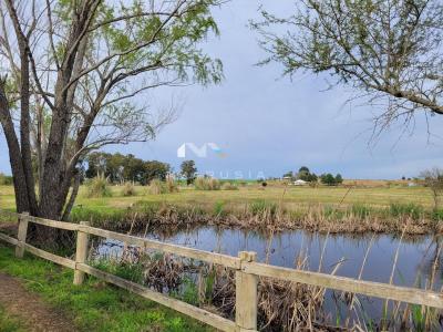 Terreno en venta en Carmelo