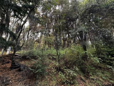 Terreno en venta en Peninsula San Pedro, Bariloche