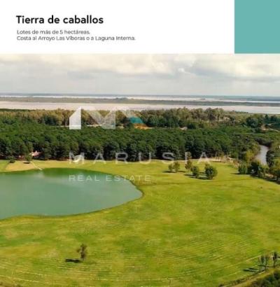 Terreno en venta en El Faro, Carmelo