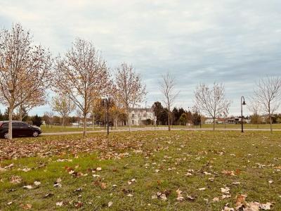 Terreno en venta en Haras del Sur II, Coronel Brandsen