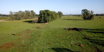 Terreno en venta en Pilar Centro, Pilar