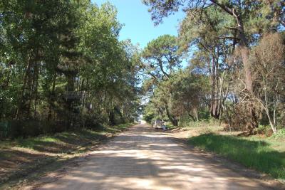 Terreno en venta en Punta del Este, Punta del Este
