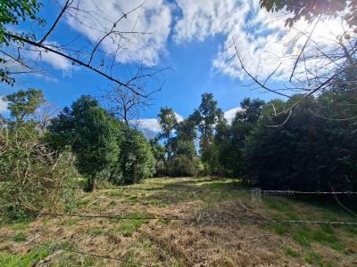 Terreno en venta en La Lonja, Pilar