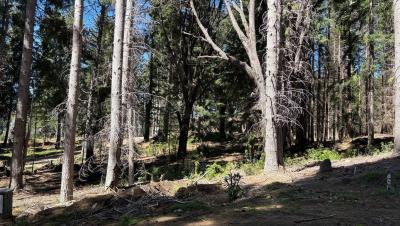 Terreno en venta en Villa Campanario, Bariloche