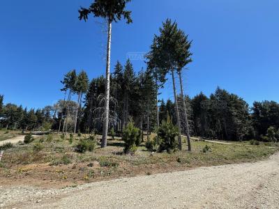Terreno en venta en Villa Campanario, Bariloche